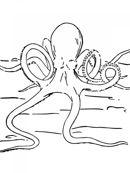 Octopus on a Bottom Line coloring page image