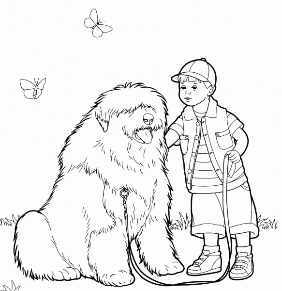 Old English Sheepdog (Bobtail)  coloring page image