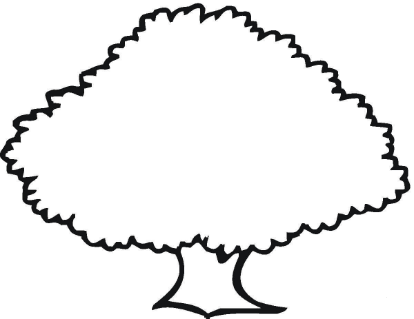 Old Oak Outline  coloring page image