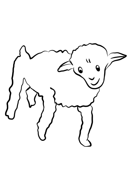 Old Sheep coloring page image