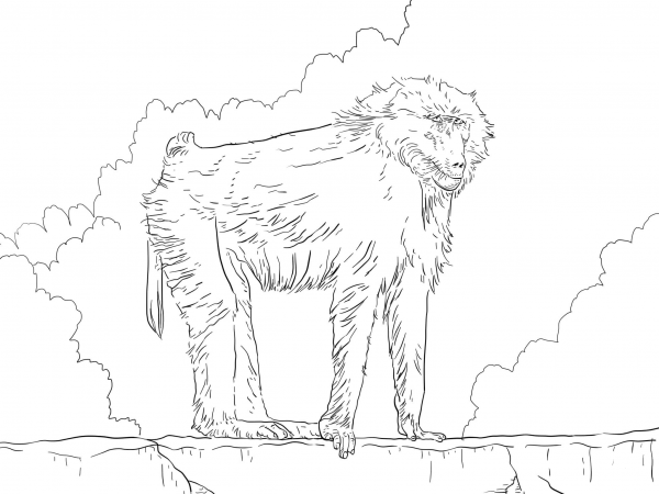 Olive Baboon coloring page image