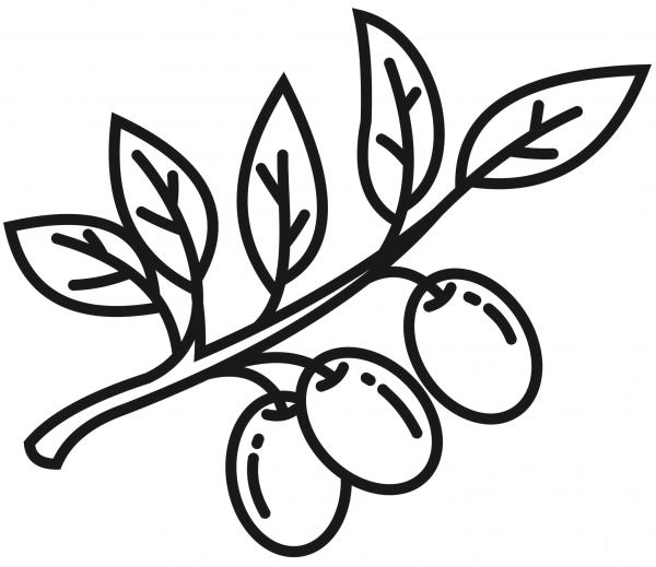 Olive Branch coloring page image