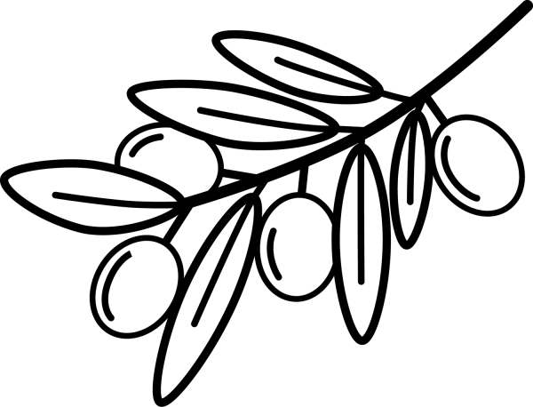 Olive Branch coloring page image