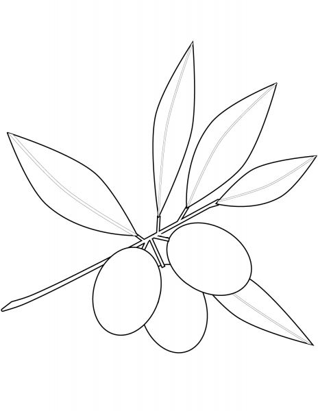 Olives coloring page image