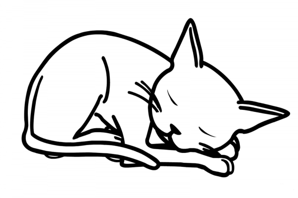 Olivia’s Cat Edwin coloring page image