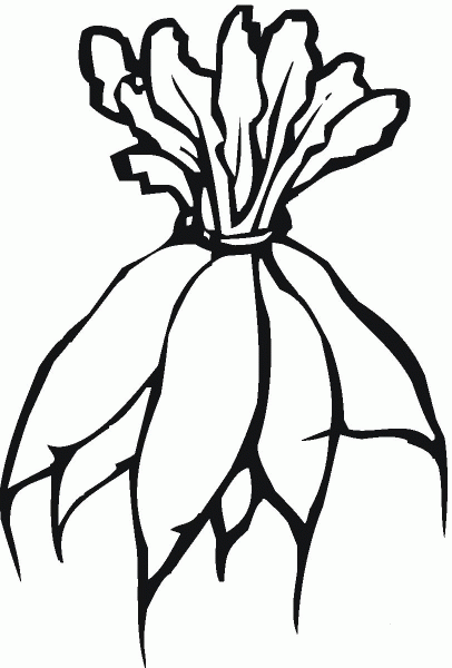 One Banch of Radish coloring page image