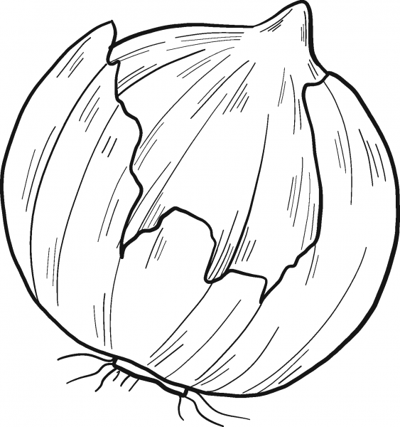 Onion coloring page image