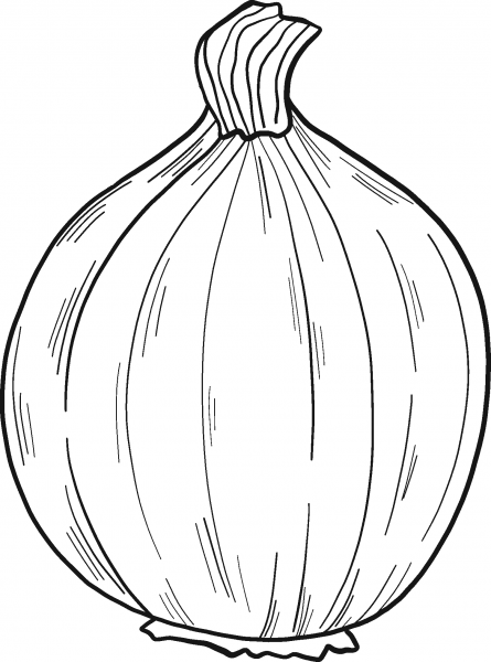 Onion coloring page image
