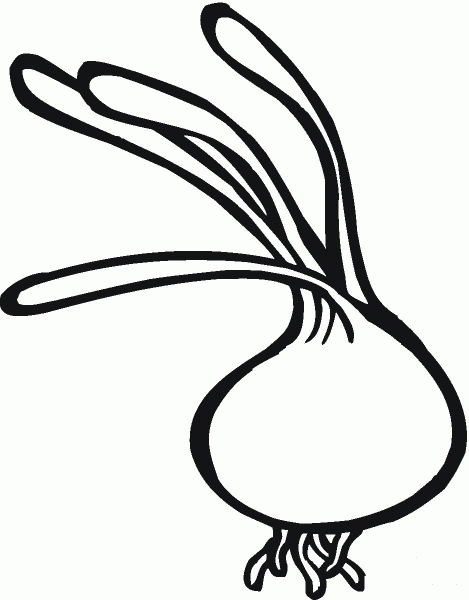 Onion coloring page image