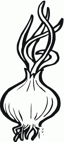 Onion coloring page image