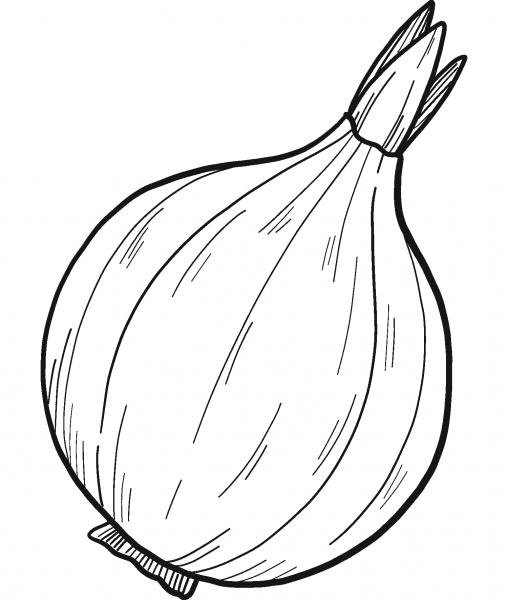Onion coloring page image