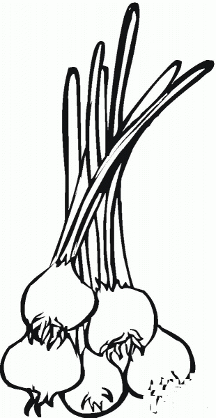 Onion coloring page image