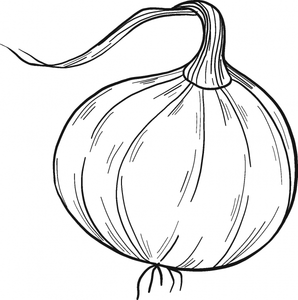 Onion coloring page image