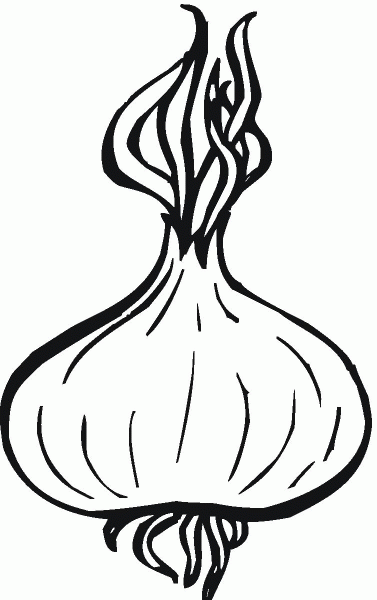 Onion coloring page image