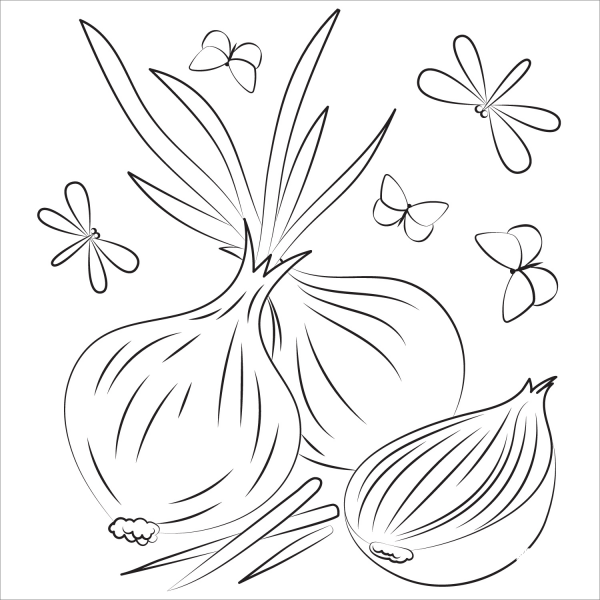 Onion coloring page image