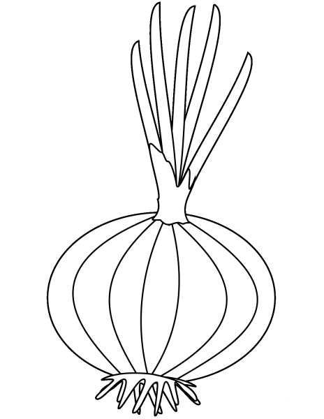 Onion coloring page image