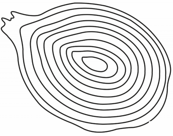 Onion Cut in Half coloring page image