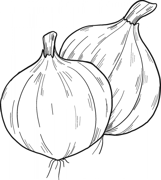Onions coloring page image