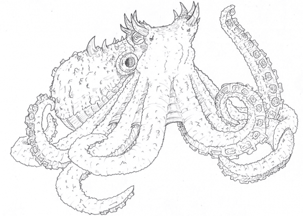 Oodako coloring page image