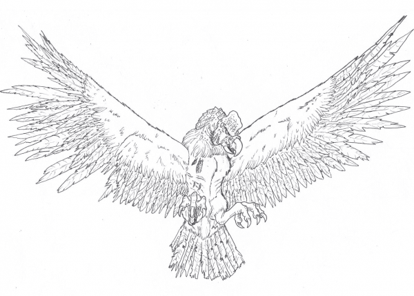 Ookondru coloring page image