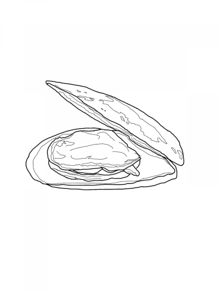 Open Mussel coloring page image