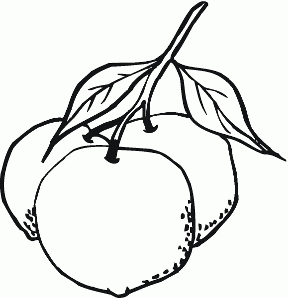 Orange coloring page image
