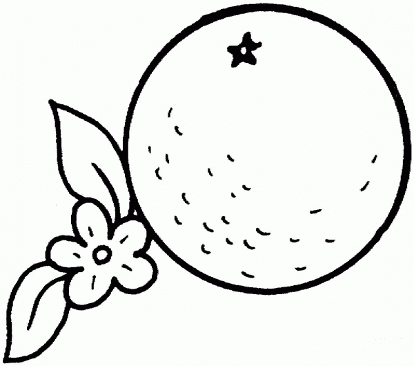 Orange coloring page image
