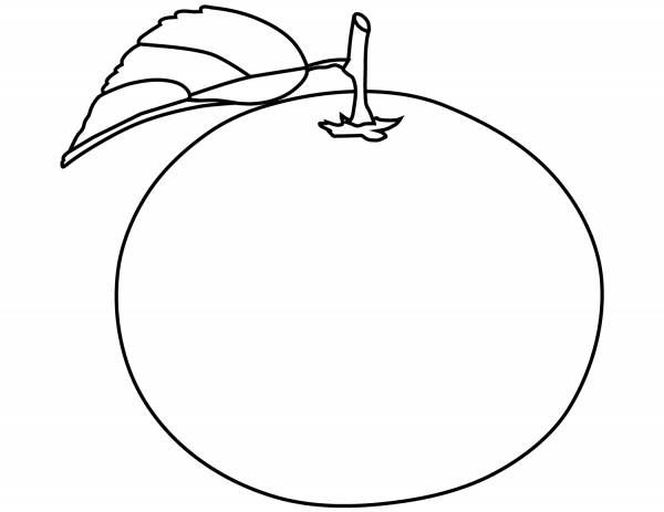 Orange coloring page image