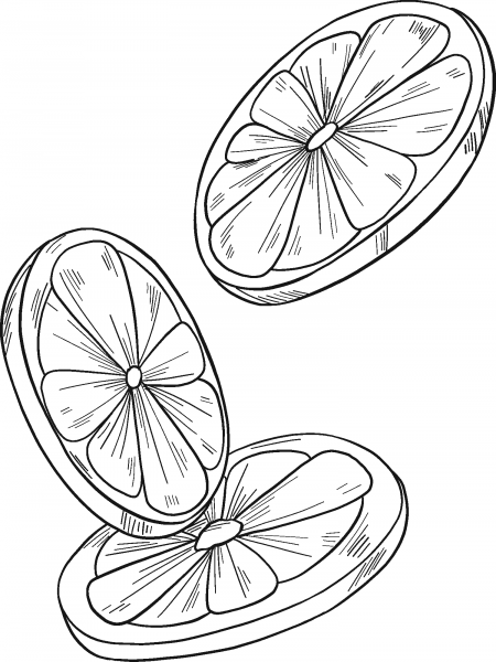 Orange Slices coloring page image