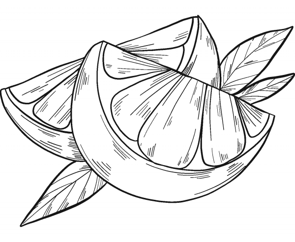 Orange Slices coloring page image