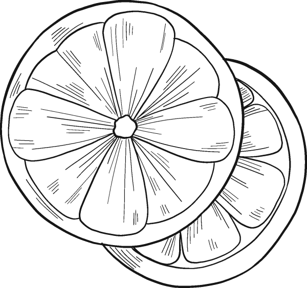 Orange Slices coloring page image