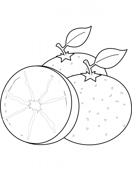 Oranges coloring page image