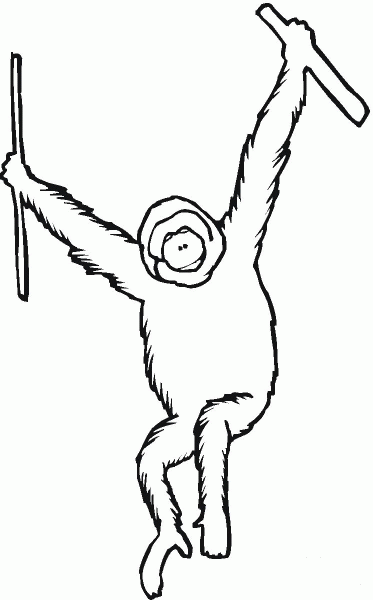 Orangutan Ape coloring page image