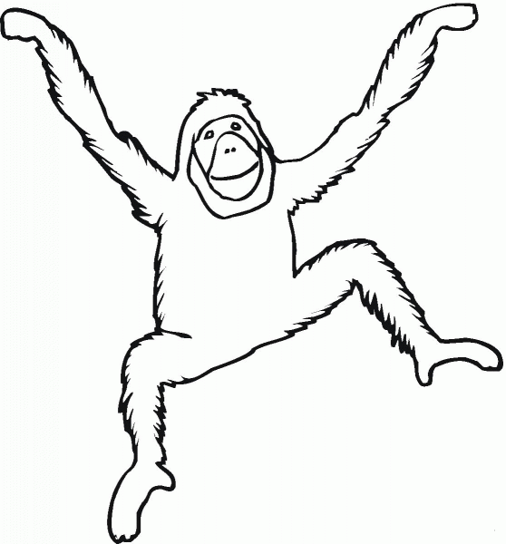 Orangutan coloring page image