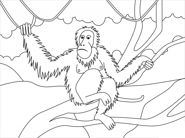 Orangutan coloring page image
