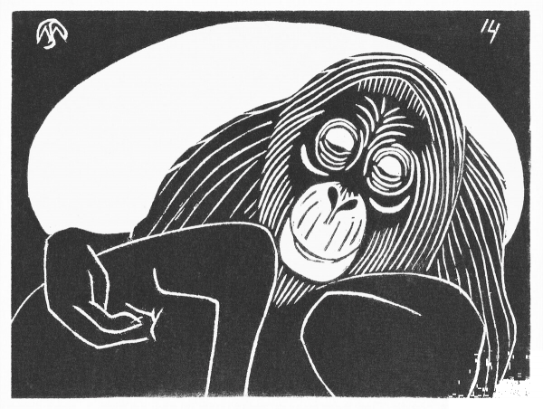 Orangutan coloring page image