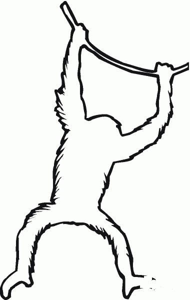 Orangutan Hanging on Liana coloring page image