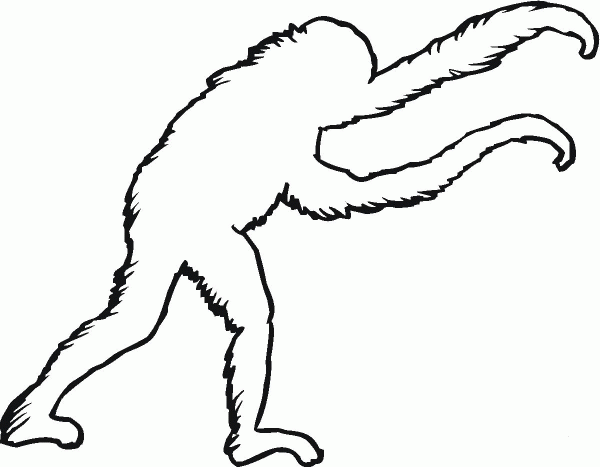 Orangutan Outline coloring page image