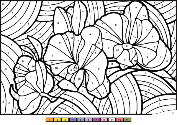 Orchid Color by Number image