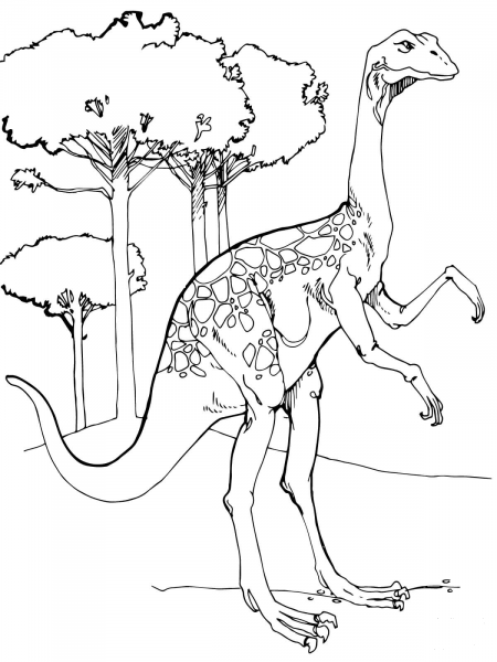 Ornithomimus coloring page image