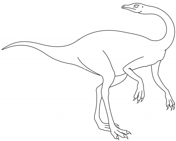 Ornithomimus coloring page image