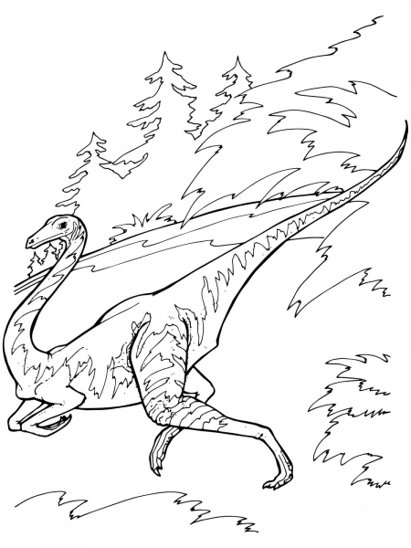 Ornithomimus Dinosaur coloring page image