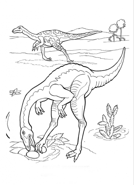 Ornithomimus Strutiomimus coloring page image
