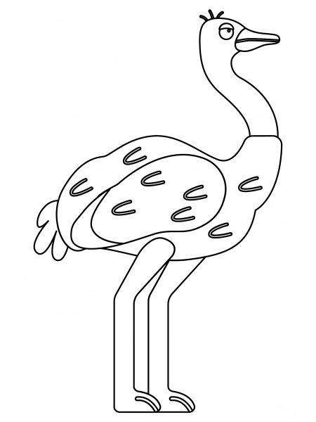Ostrich coloring page image