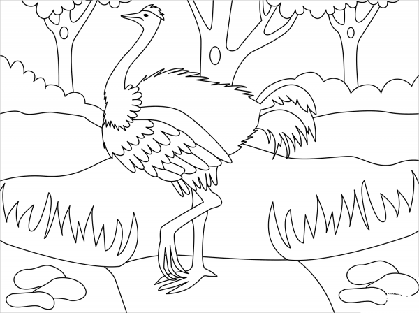Ostrich coloring page image