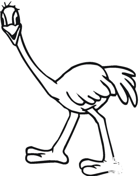 Ostrich Emu  coloring page image