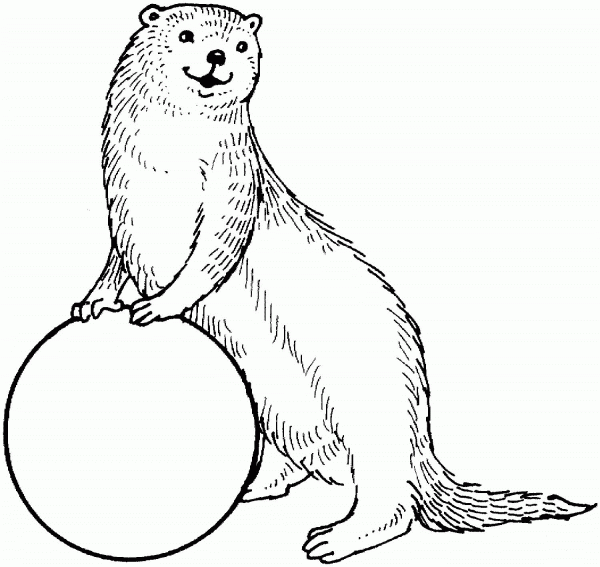 Otter And A Ball coloring page image