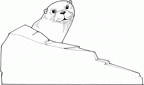 Otter Behind A Rock coloring page image