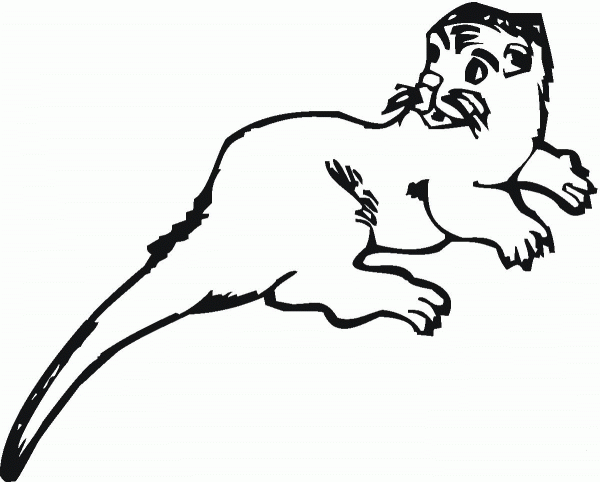 Otter coloring page image