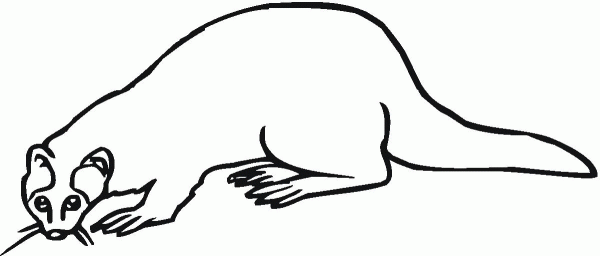 Otter coloring page image
